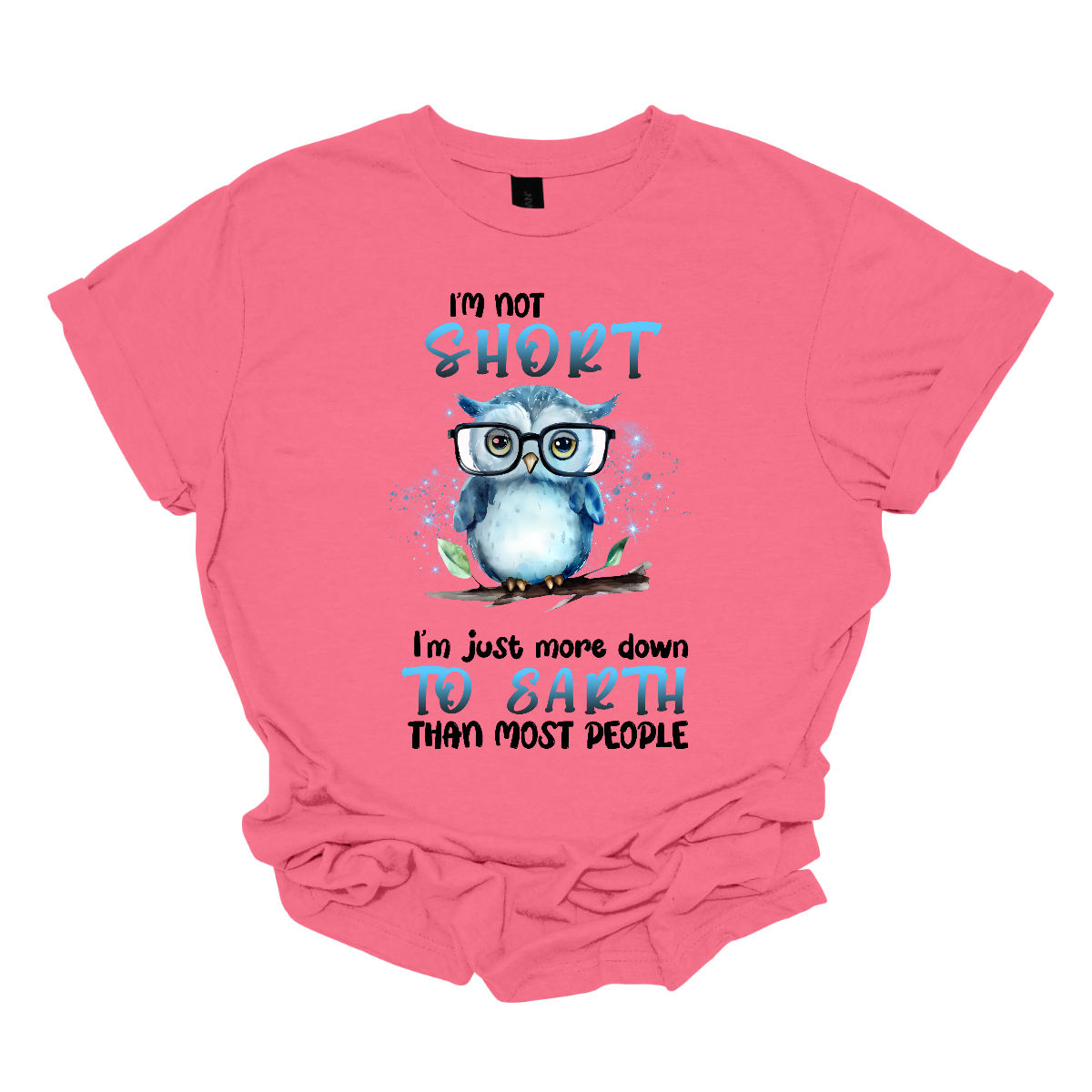 This fun and quirky shirt features the playful message, "I'm not short" at the top and "I'm just more down to earth than most people" at the bottom. The bold print font highlights the words "short" and "to earth" in vibrant blue lettering. The text is divided into two sections, with an adorable blue owl wearing oversized glasses perched on a branch in the center. It's the perfect shirt for those with a great sense of humor and a down-to-earth attitude. Shop now at Gorgeousware.com