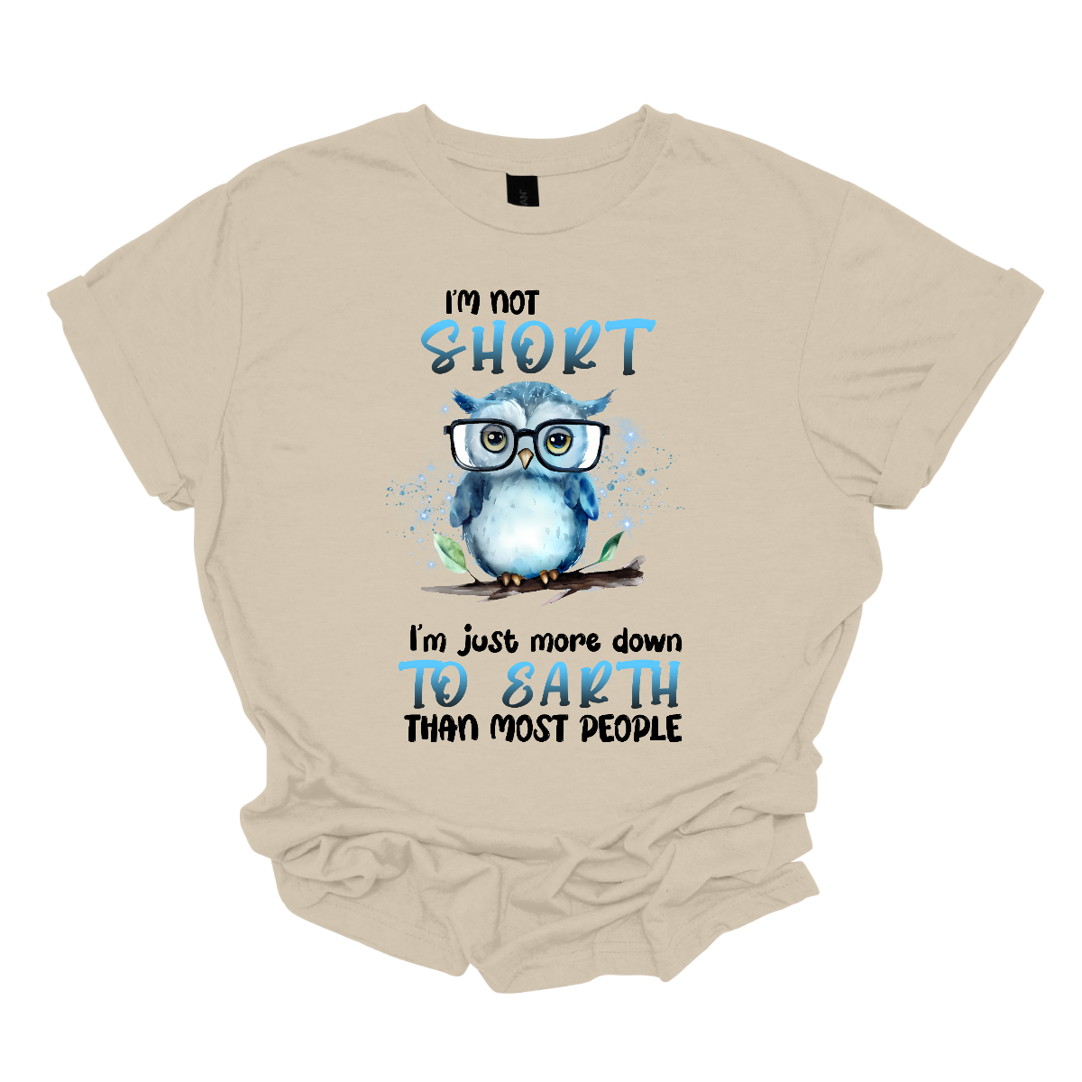 This fun and quirky shirt features the playful message, "I'm not short" at the top and "I'm just more down to earth than most people" at the bottom. The bold print font highlights the words "short" and "to earth" in vibrant blue lettering. The text is divided into two sections, with an adorable blue owl wearing oversized glasses perched on a branch in the center. It's the perfect shirt for those with a great sense of humor and a down-to-earth attitude. Shop now at Gorgeousware.com
