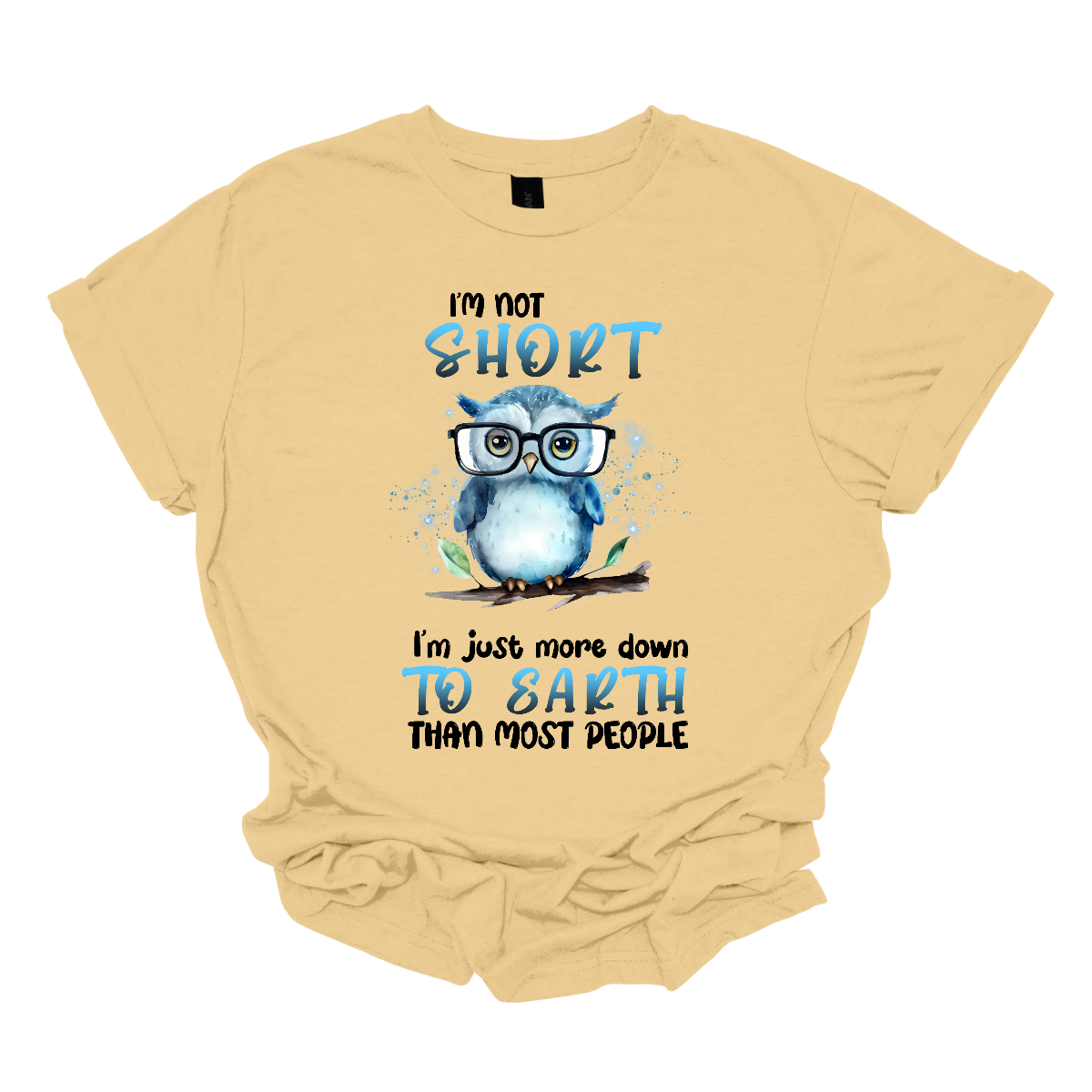 This fun and quirky shirt features the playful message, "I'm not short" at the top and "I'm just more down to earth than most people" at the bottom. The bold print font highlights the words "short" and "to earth" in vibrant blue lettering. The text is divided into two sections, with an adorable blue owl wearing oversized glasses perched on a branch in the center. It's the perfect shirt for those with a great sense of humor and a down-to-earth attitude. Shop now at Gorgeousware.com
