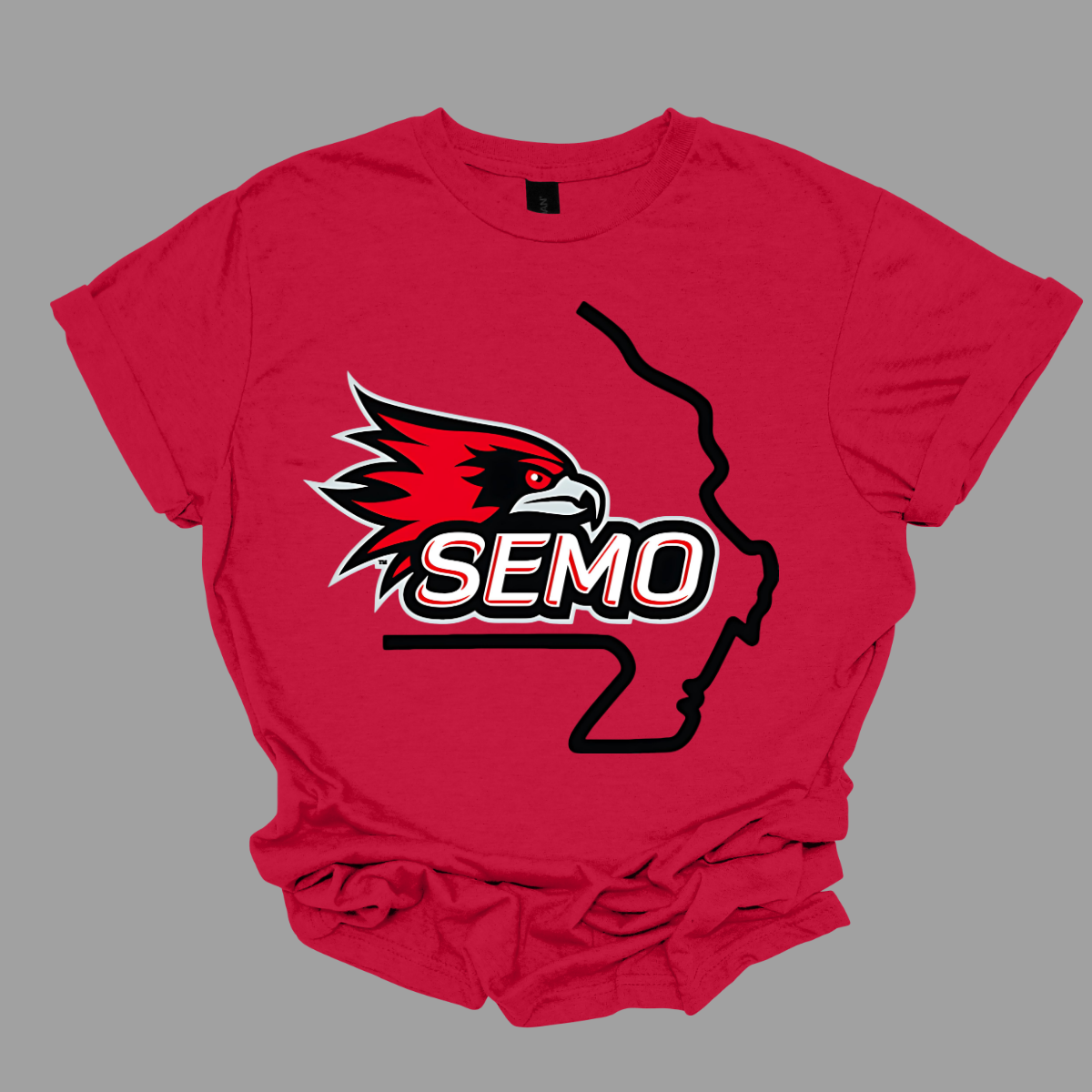 This striking t-shirt features a bold red hawk design at the center, capturing the spirit and fierceness of this majestic bird. Below the hawk, the word "SEMO" pops in vibrant bubble letters, adding a playful touch that complements the overall design. Perfect for fans of Southeast Missouri State University or anyone who loves unique, eye-catching apparel. Shop at Gorgeousware.com