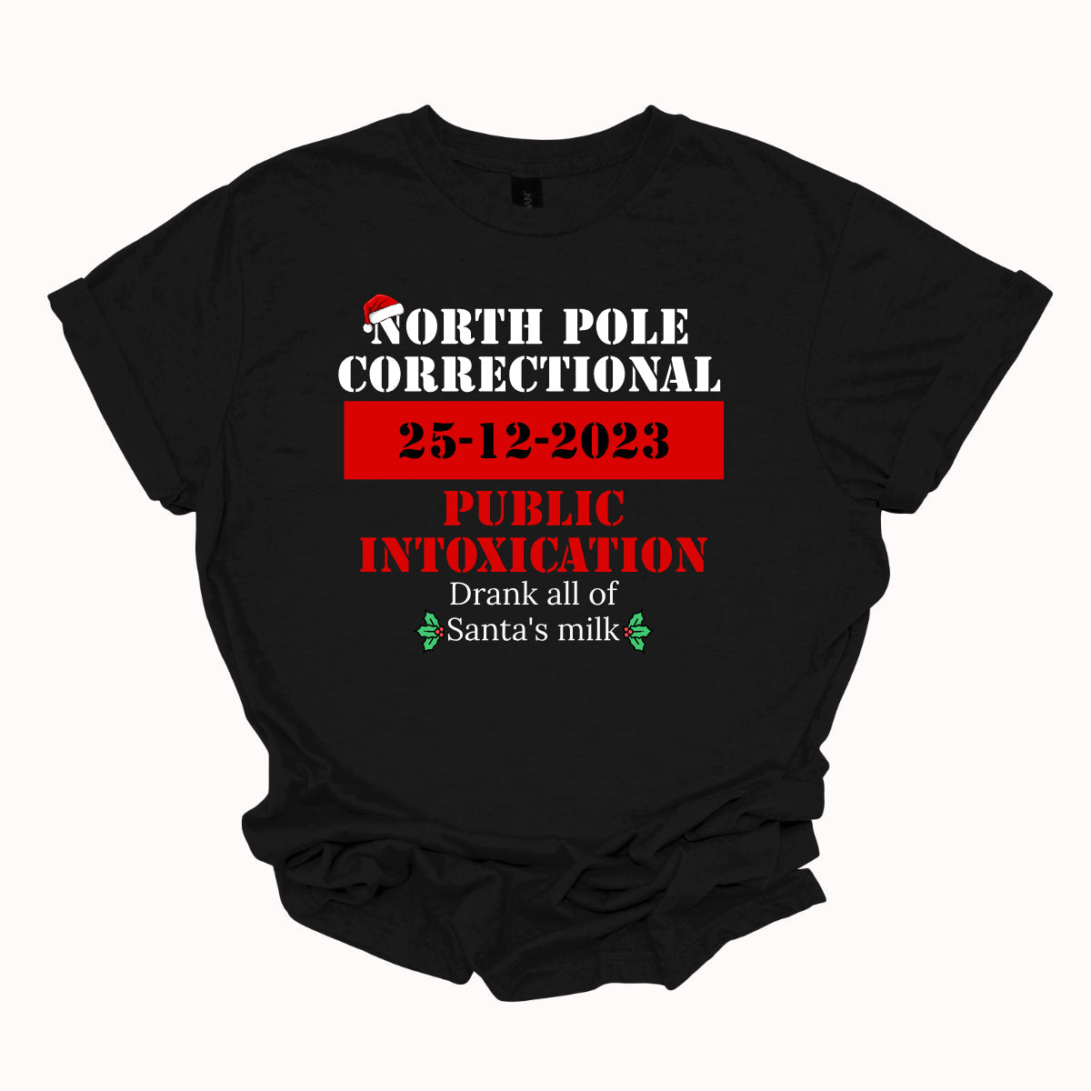 North Pole Correctional - YOUTH   S-XL SHORT Sleeve