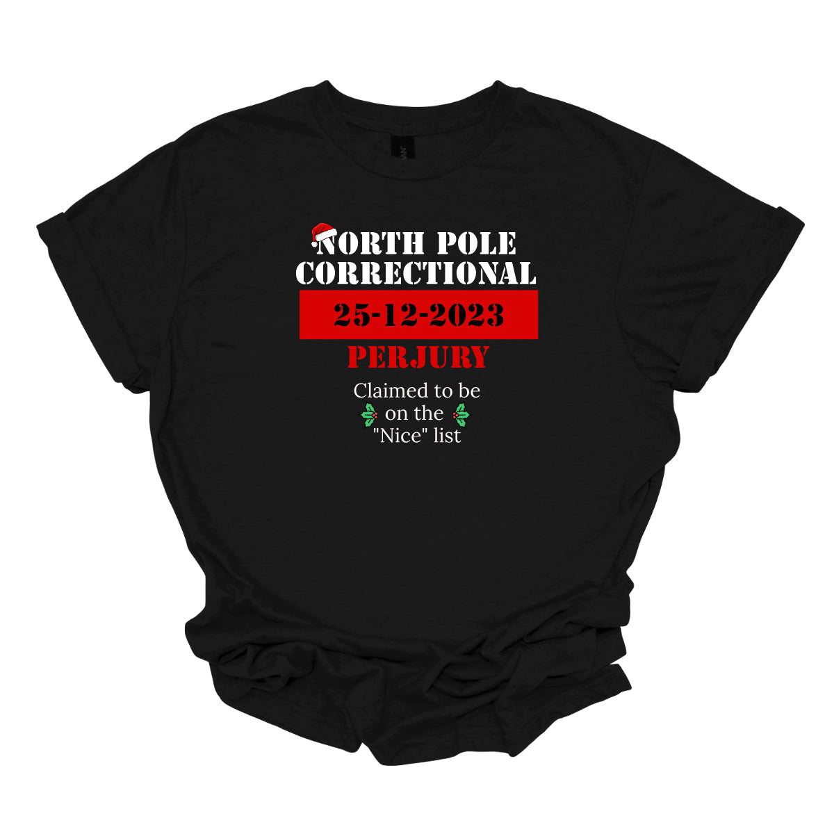 North Pole Correctional - YOUTH  S-XL LONG Sleeve