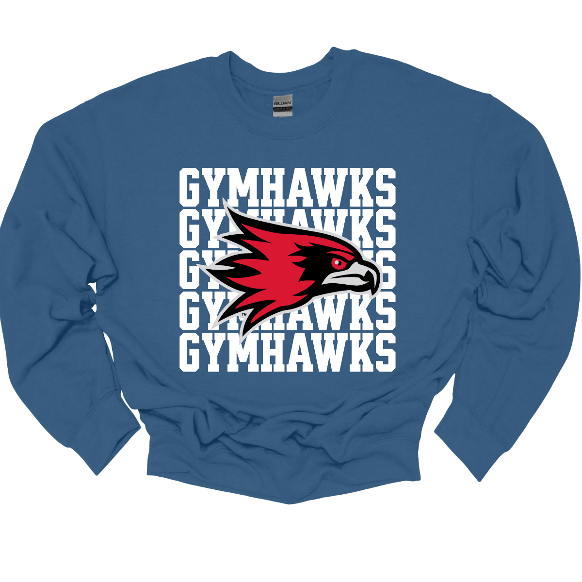 Blue sweatshirt with red and white hawk logo and 'GYMHAWKS' text on a white background