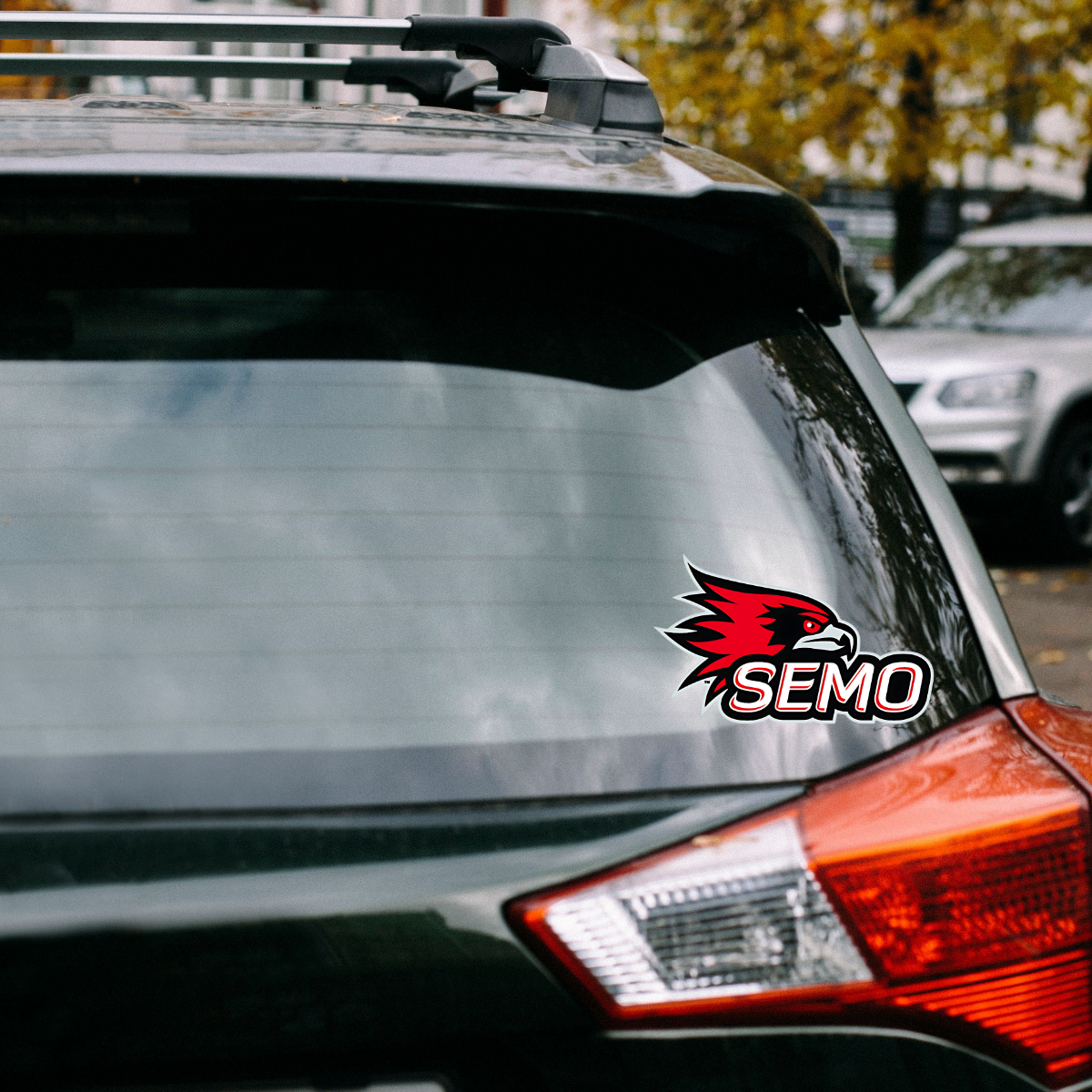 Semo Lettering SEMO Redhawk Car Decal – Gorgeousware