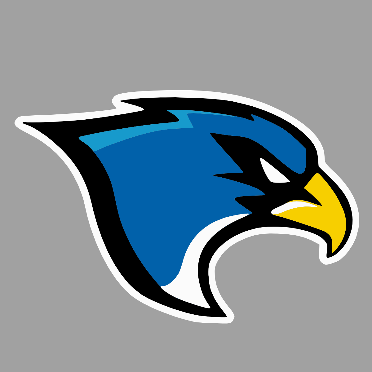 Show your school spirit with this vibrant 6" decal sticker! Featuring the bold "Falcons" logo, this eye-catching design highlights the school's colors and emblem. Perfect for your car, laptop, or any surface, it's made from durable, weather-resistant material to withstand the elements. Support your school wherever you go and let everyone know you're part of the Falcons family! Easy to apply and remove, this decal is a must-have for every fan. Go Falcons! Shop at Gorgeousware.com